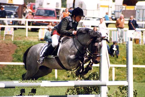 rodeSuse_500