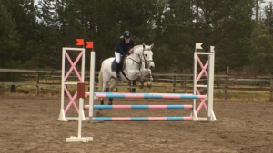 Didi 80 cm Bratteborg 14