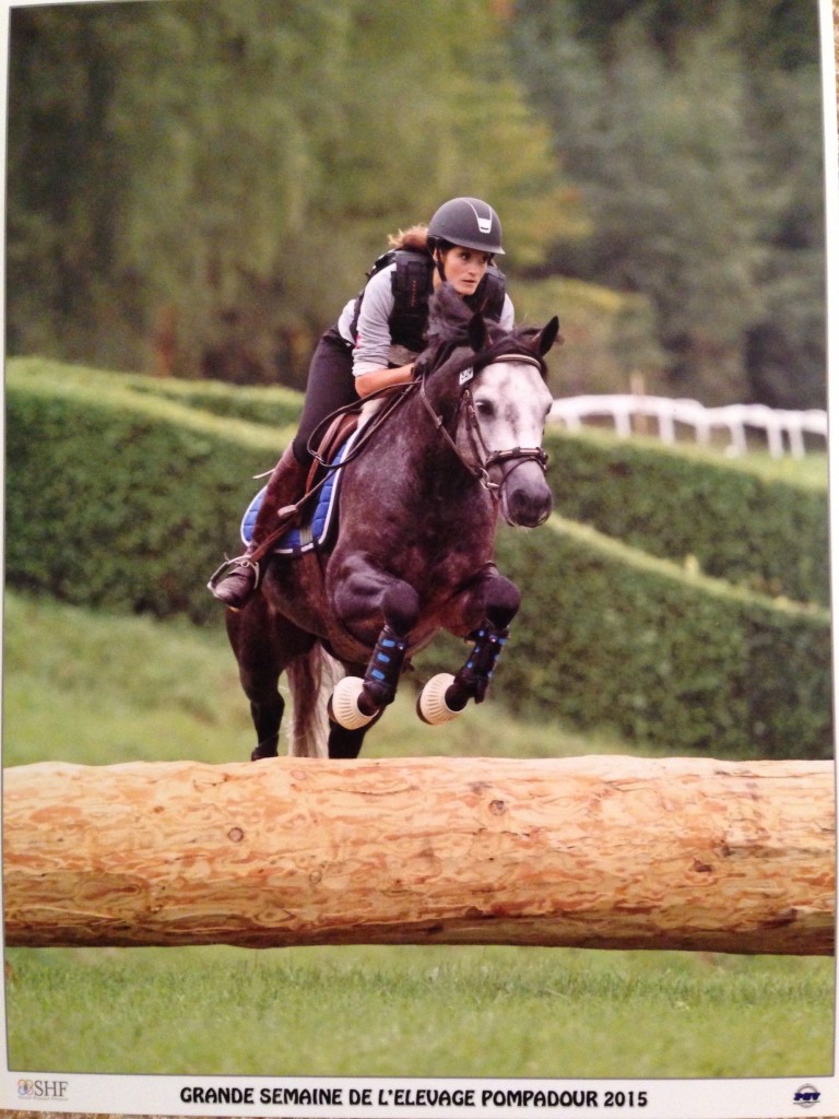 Anders de l'aulne 8