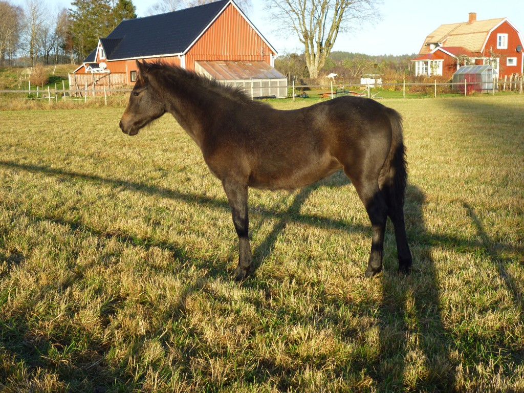 Philomena