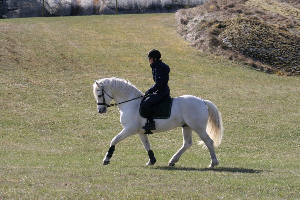 Finbarr o Johanna