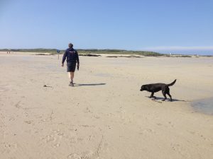 mot Omey Island
