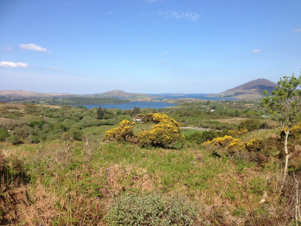 vy nat park