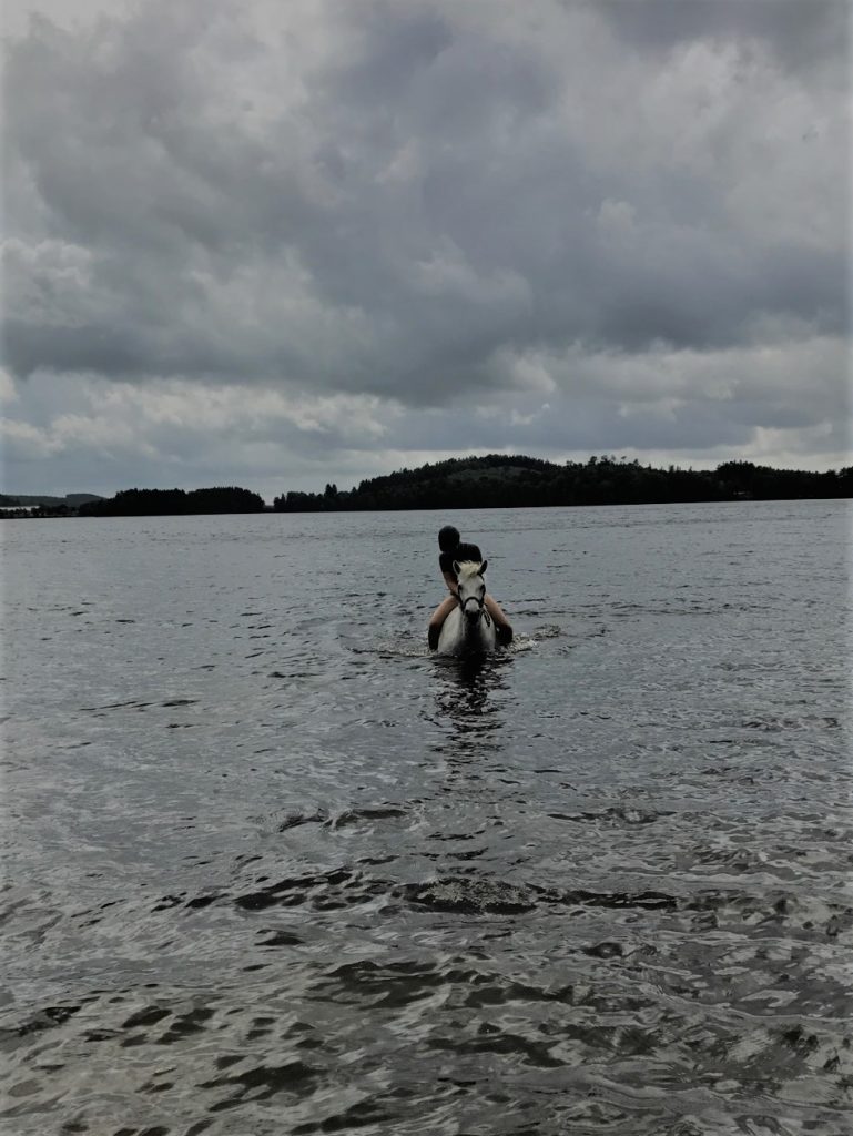 Rose o Brita i dammen!